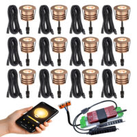 12 koperen Plug en Play spots Zigbee