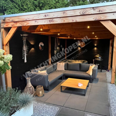 Overkapping douglas up down light