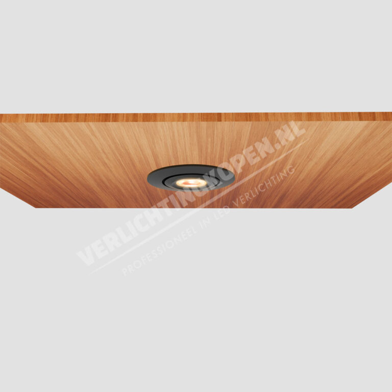 inbouwspot 43mm zwart