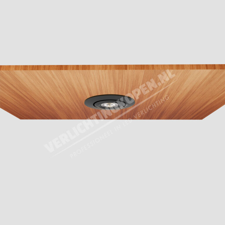 richtbare minispots zwart